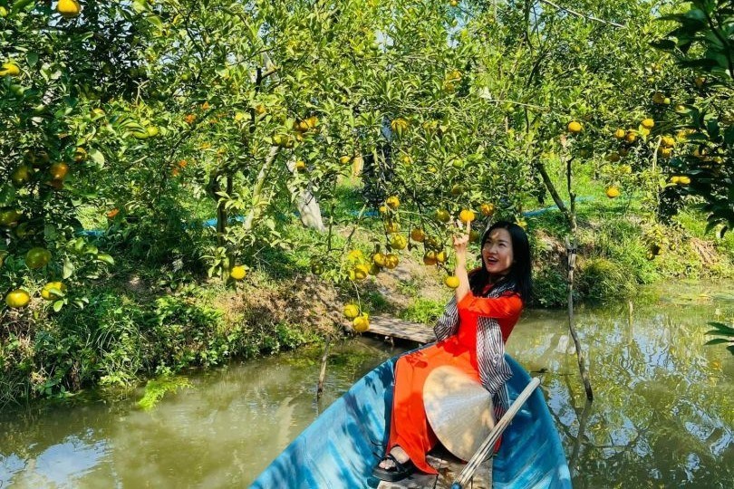 Tour Làng Hoa Sa Đéc -  Quýt Hồng Lai Vung (1N)