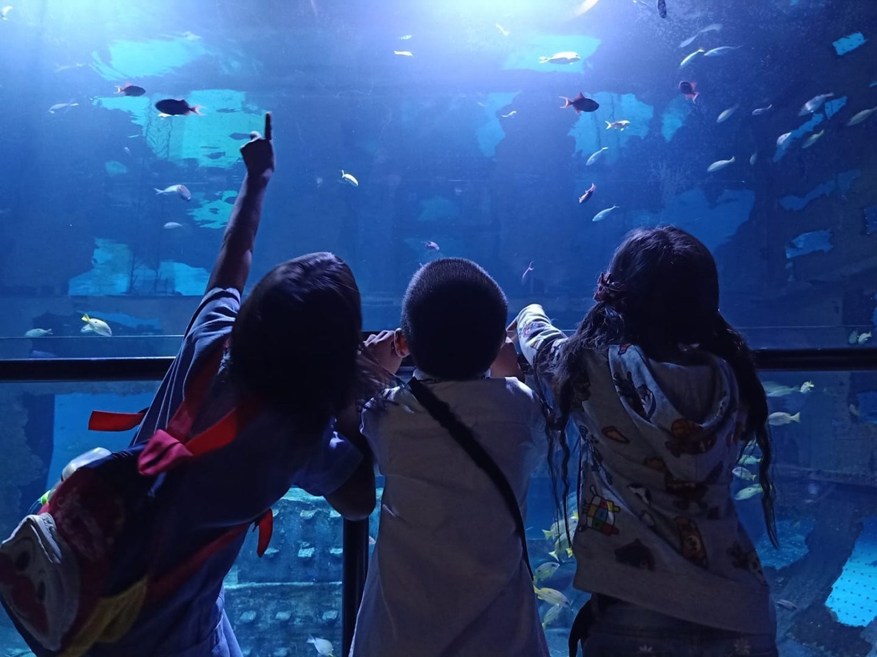 Vé Aquaria Phuket