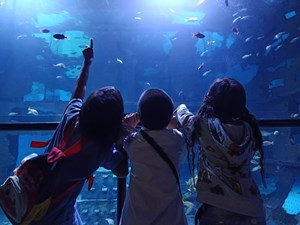 Hình của Vé Aquaria Phuket