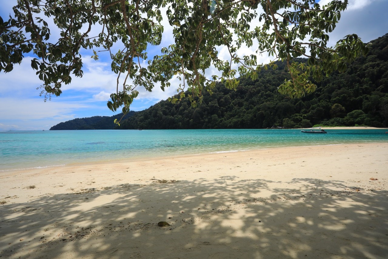 Surin Islands Snorkelling Tour from Phuket