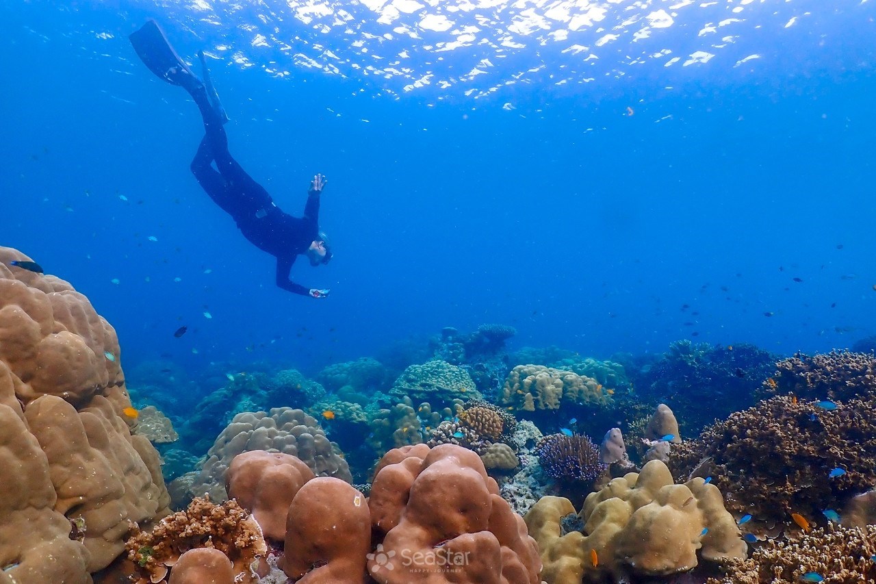 Surin Islands Snorkelling Tour from Phuket