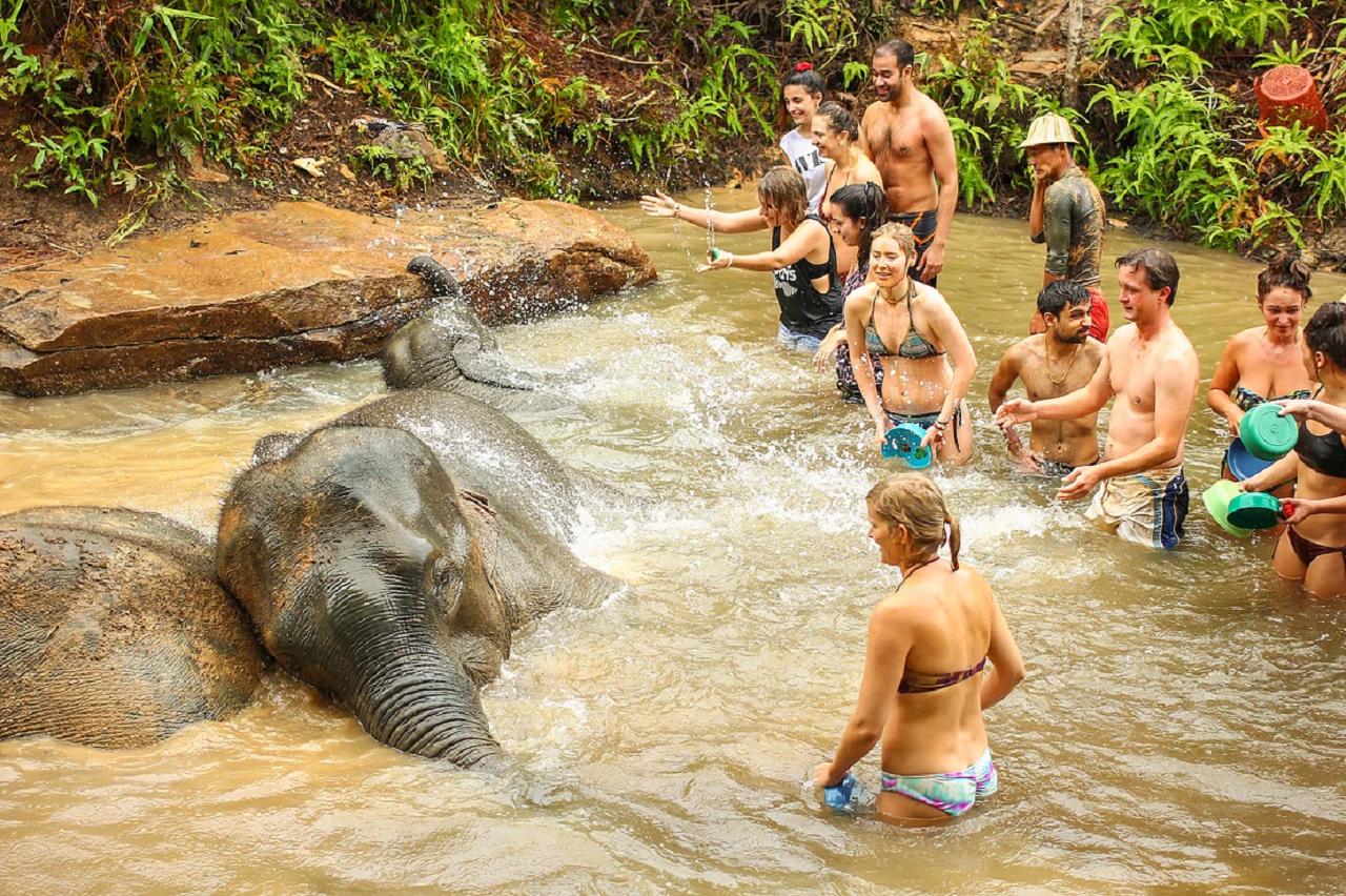 Elephant Jungle Sanctuary Phuket