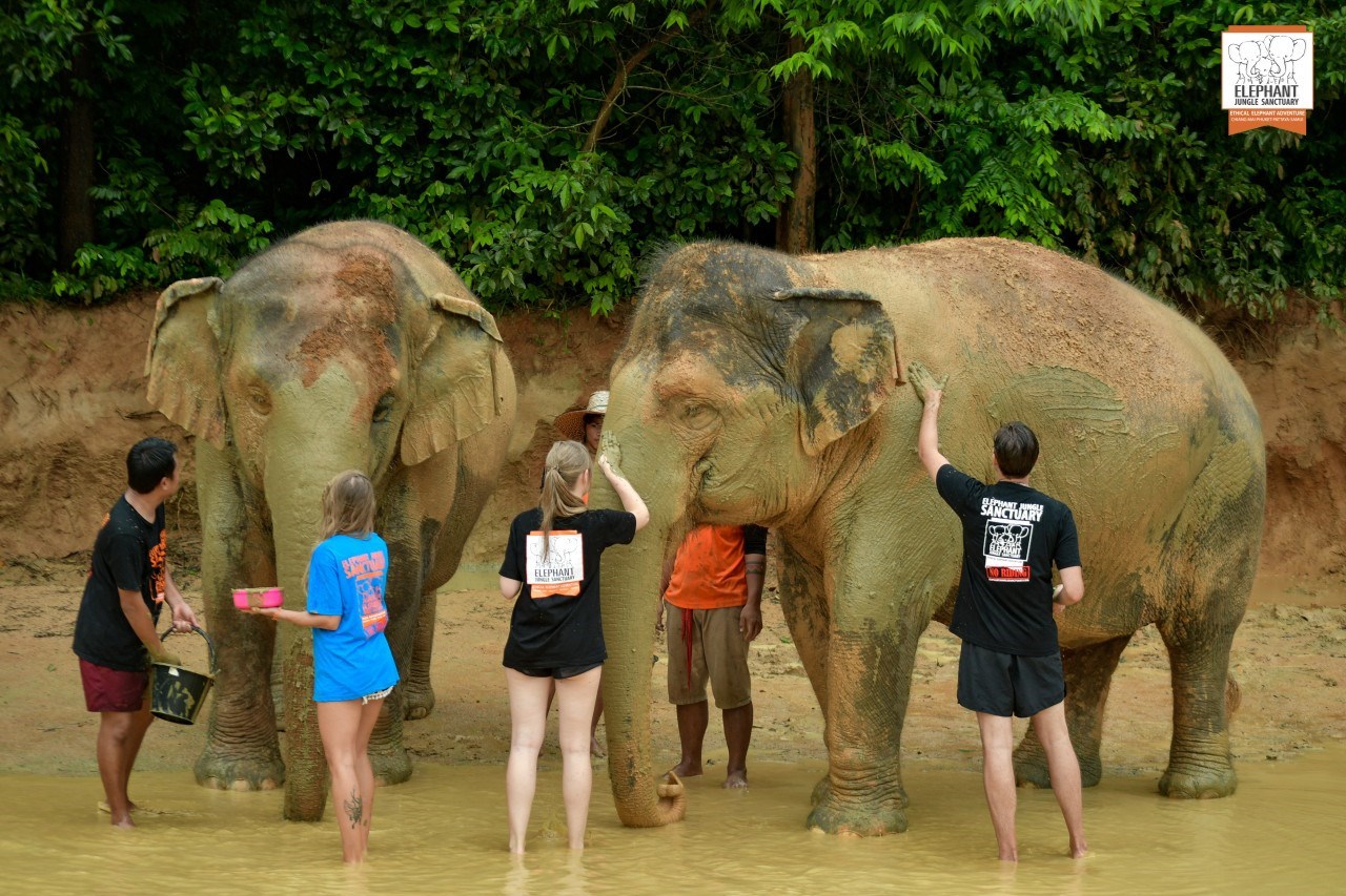 Elephant Jungle Sanctuary Phuket
