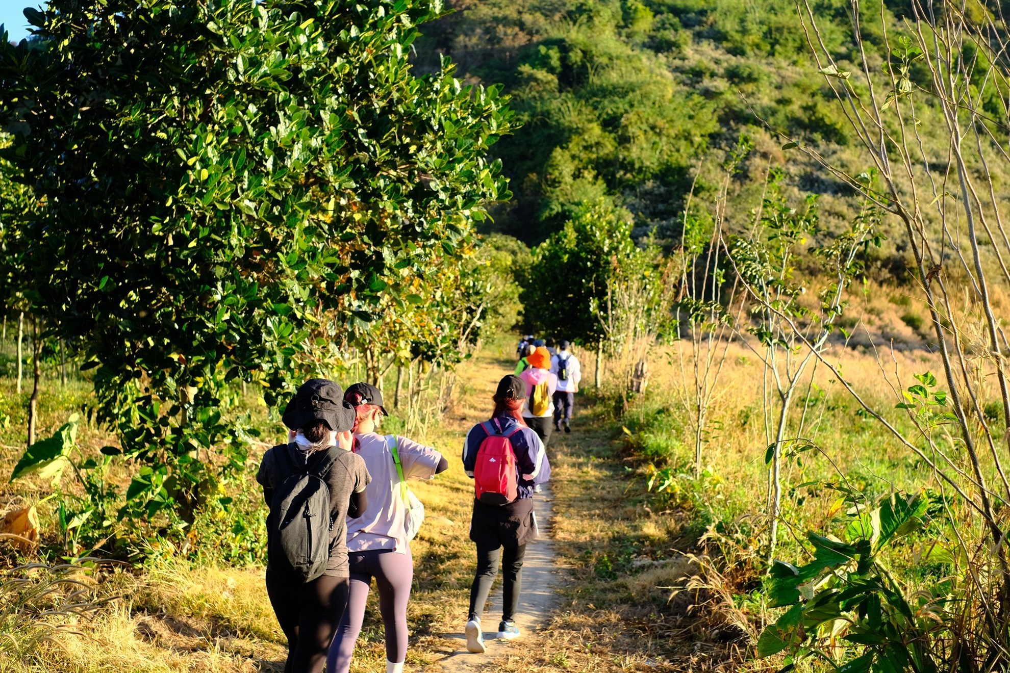 Hiking, Abseiling Canyoning Hang Động Chư Bluk