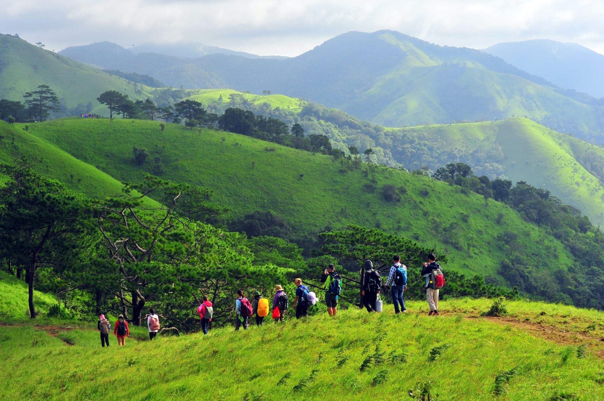 Tour trekking Tà Năng - Phan Dũng (2 ngày 1 đêm)