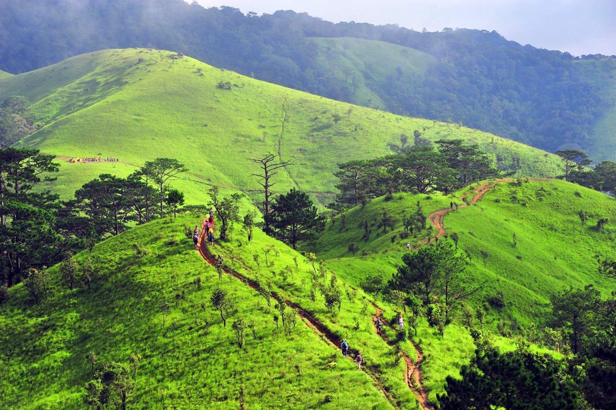 Tour trekking Tà Năng - Phan Dũng (2 ngày 1 đêm)