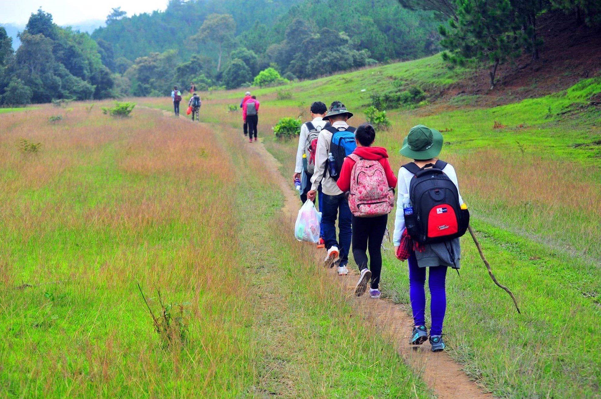 Tour trekking Tà Năng - Phan Dũng (2 ngày 1 đêm)