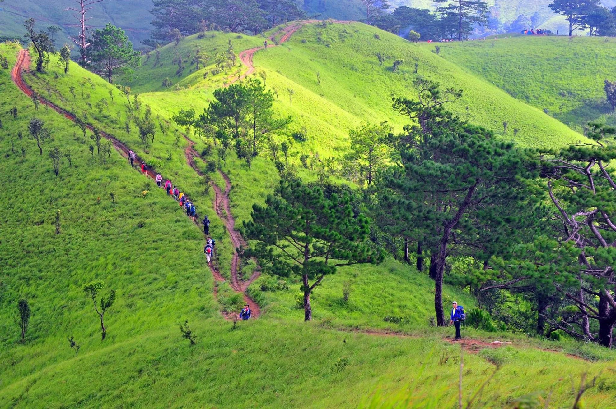 Tour trekking Tà Năng - Phan Dũng (2 ngày 1 đêm)