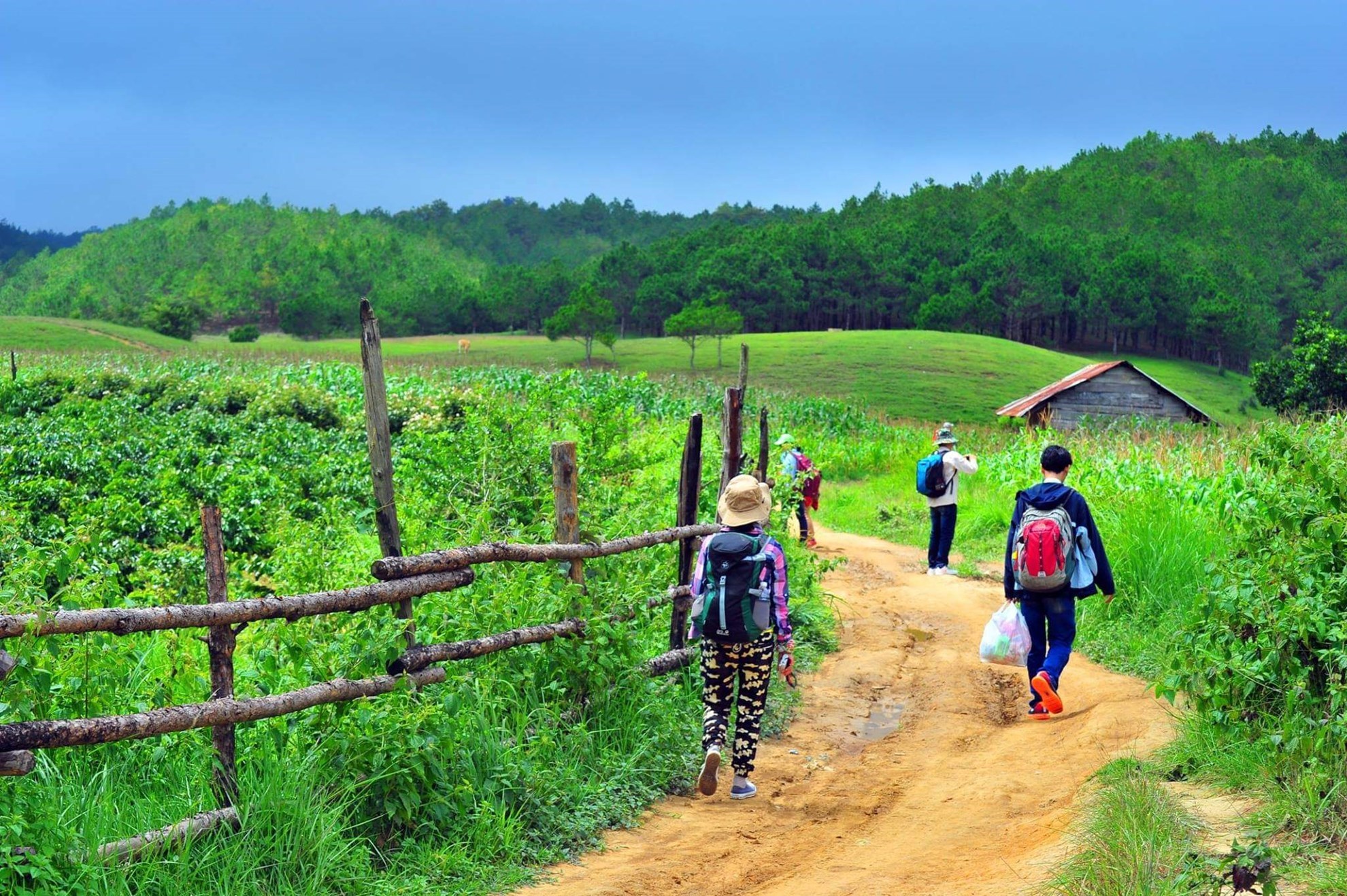 Tour trekking Tà Năng - Phan Dũng (2 ngày 1 đêm)