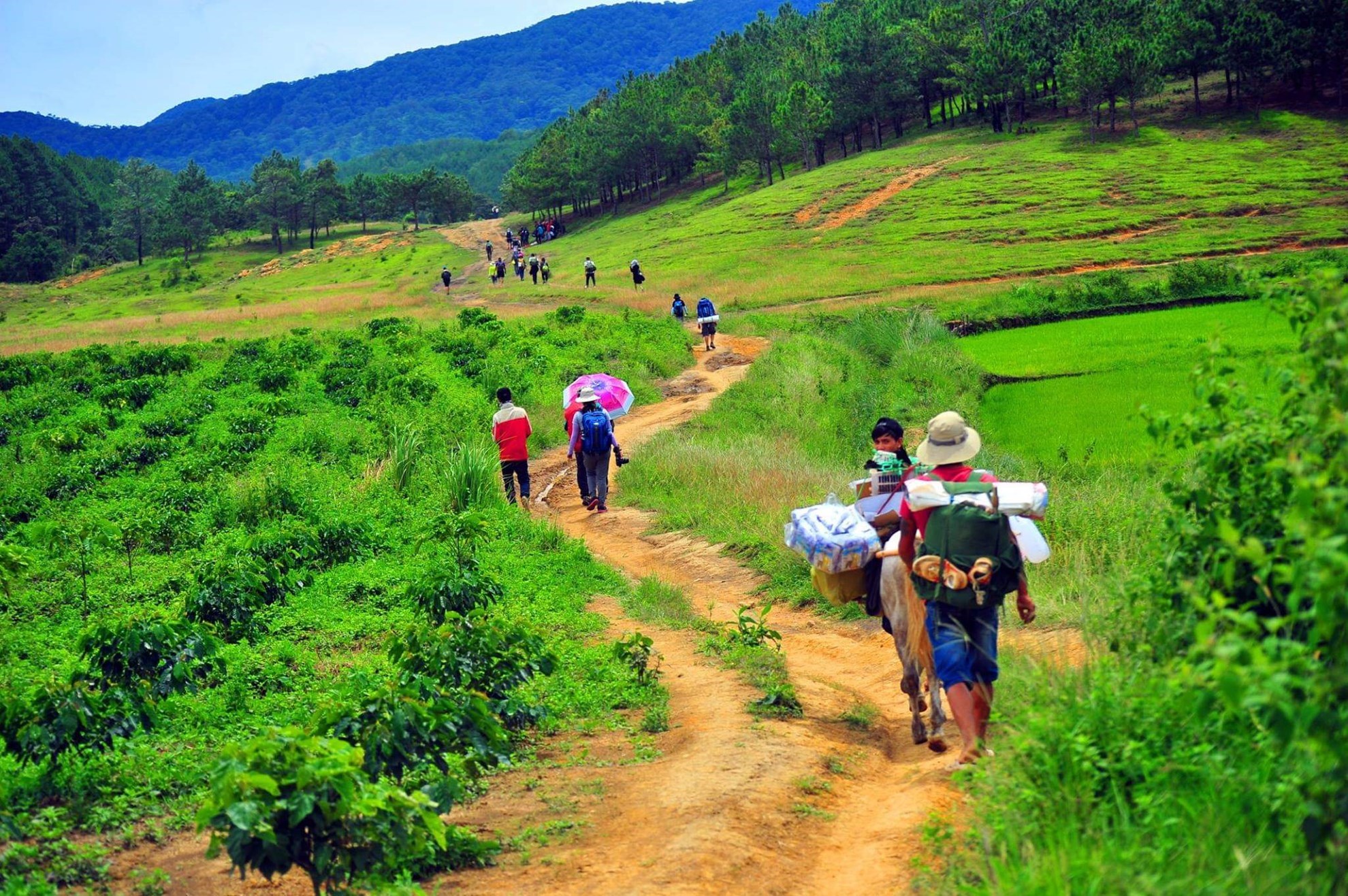 Tour trekking Tà Năng - Phan Dũng (3 ngày 2 đêm)