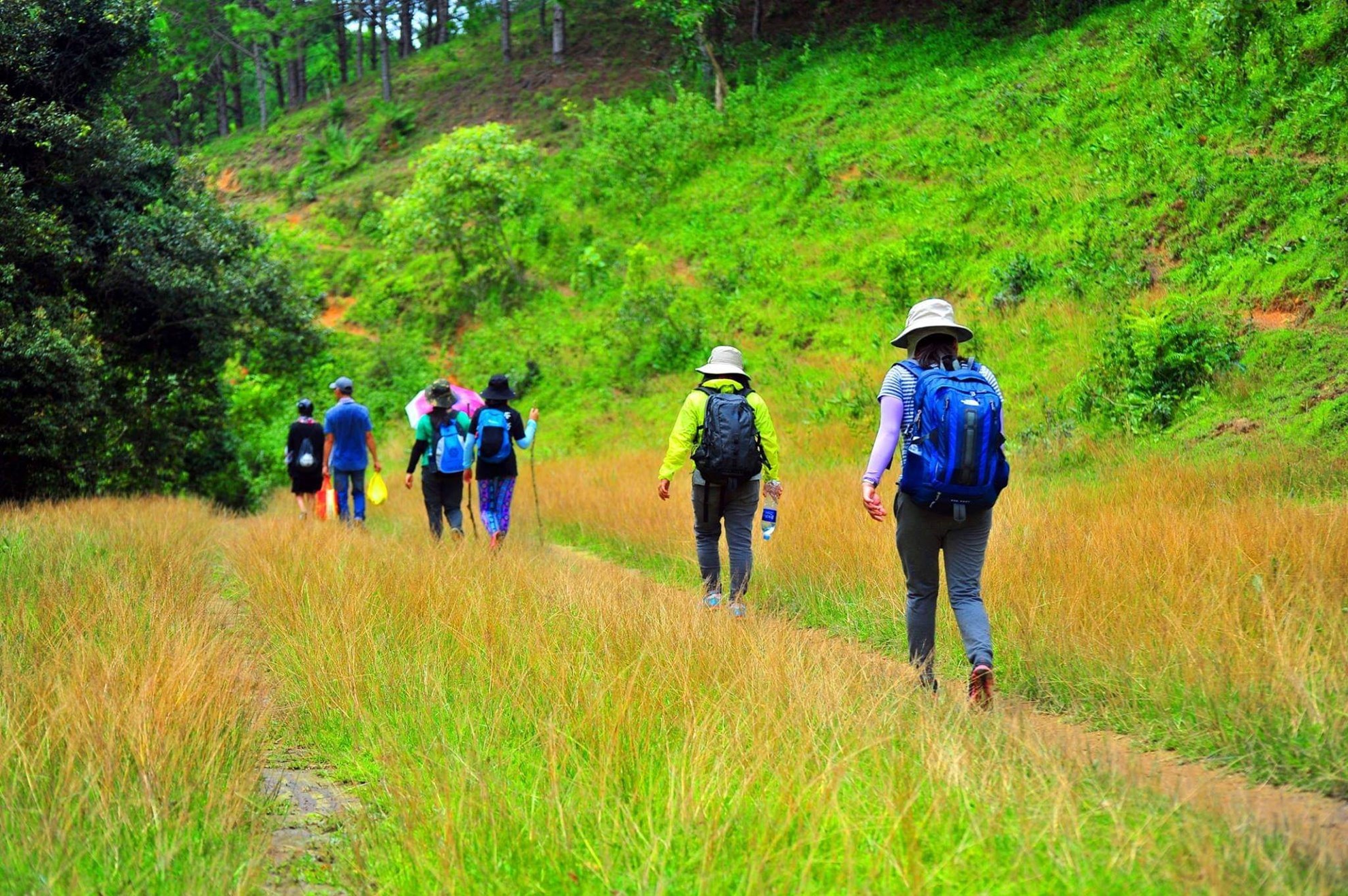 Tour trekking Tà Năng - Phan Dũng (3 ngày 2 đêm)