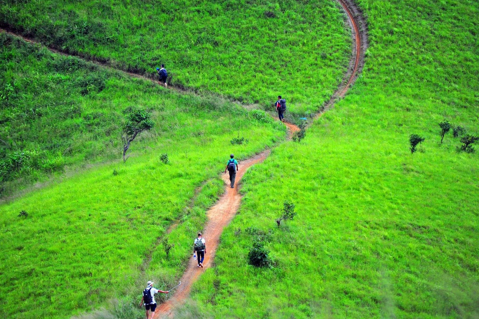 Tour trekking Tà Năng - Phan Dũng (3 ngày 2 đêm)