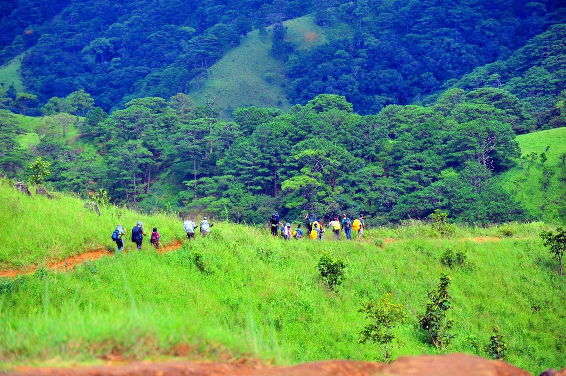 Tour trekking Tà Năng - Phan Dũng (3 ngày 2 đêm)