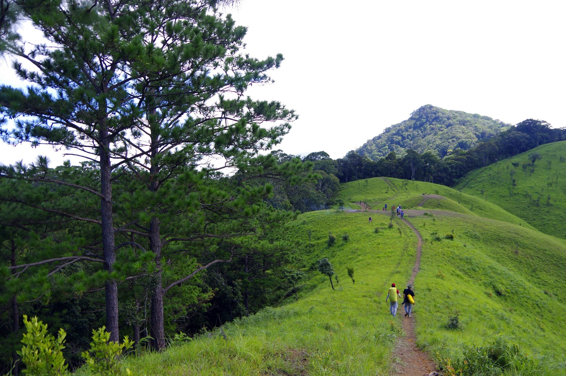 Tour trekking Tà Năng - Phan Dũng (3 ngày 2 đêm)