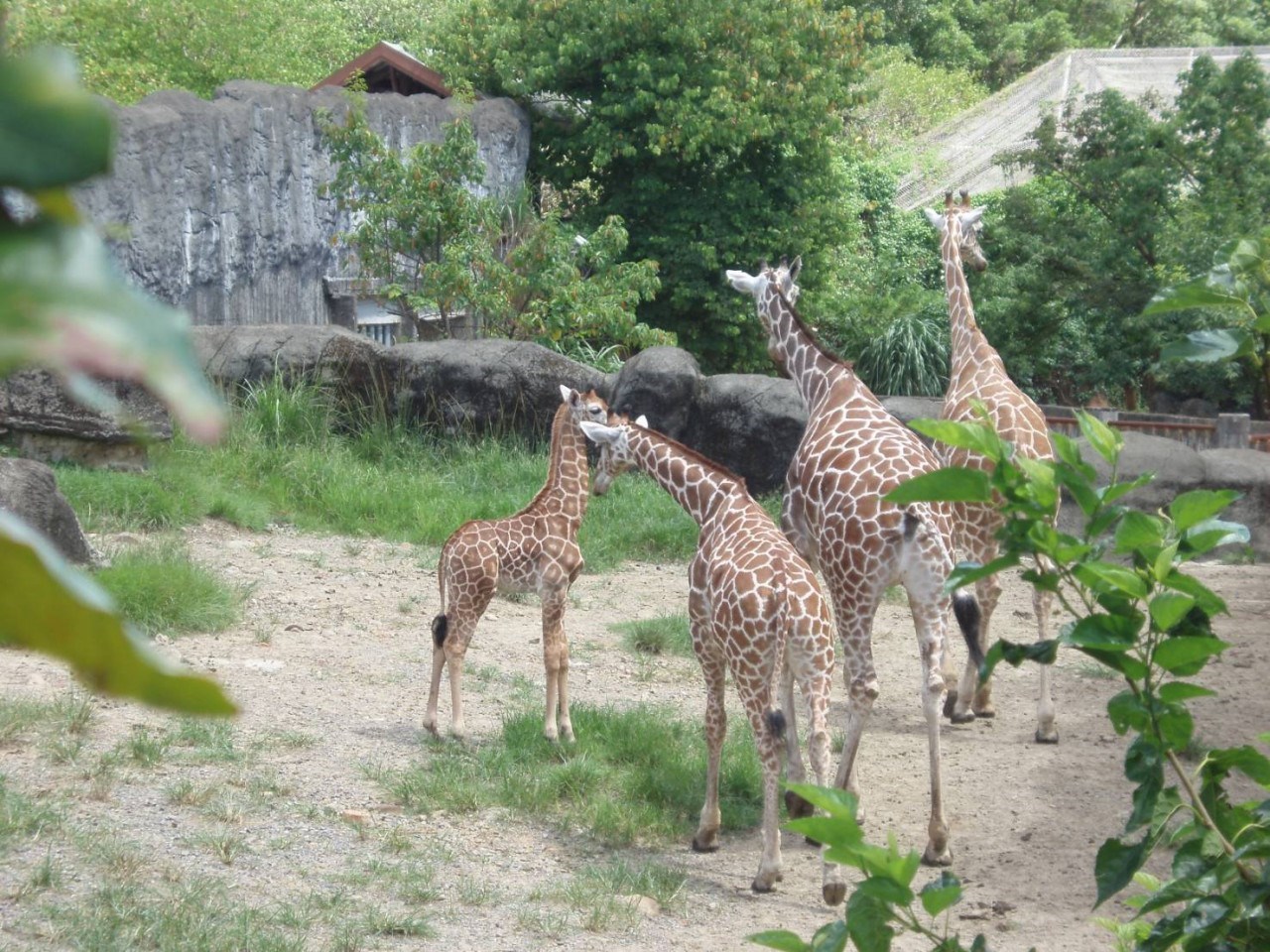 Taipei Zoo - Sở Thú Đài Bắc