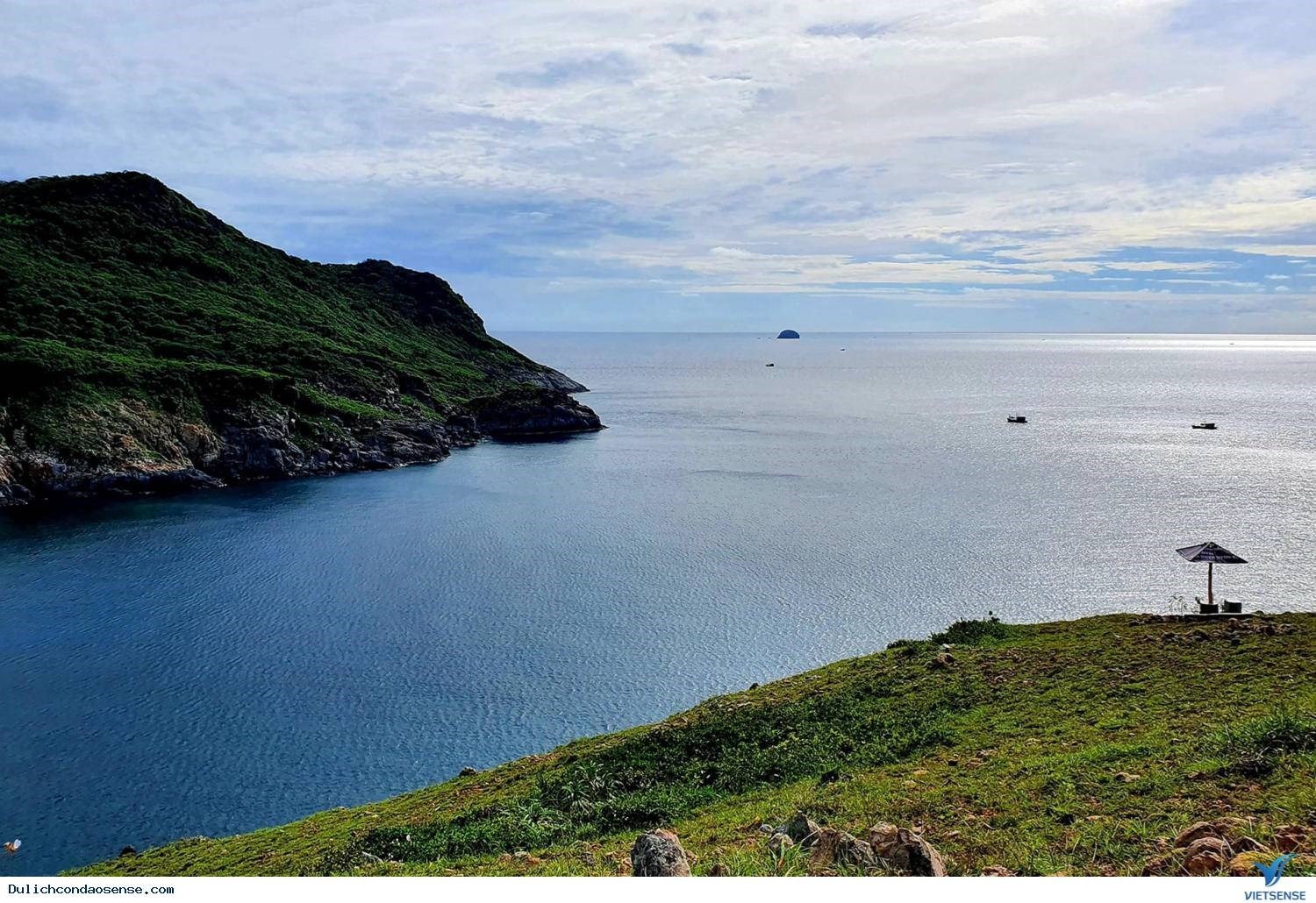 Tour Tham Quan Vịnh Đầm Tre