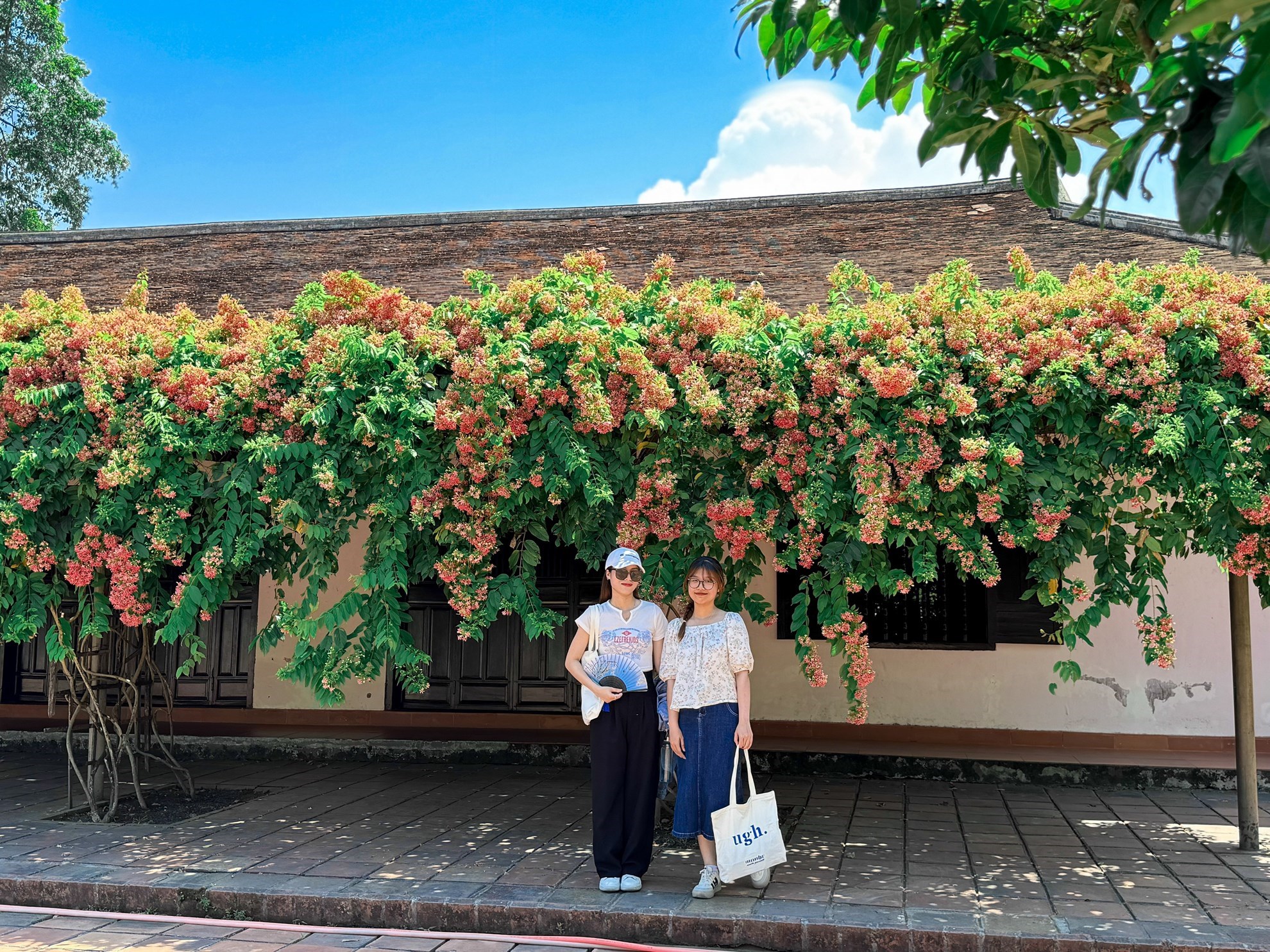 (Healing Tour) Một ngày sống lành - Đi để trở về