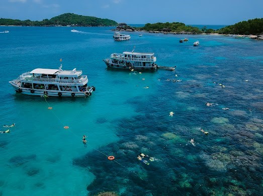 Tour Lặn Ngắm San Hô Và Câu Cá phía Nam Đảo