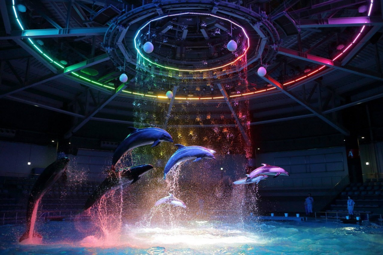 Vé Maxell Aqua Park Shinagawa Tokyo