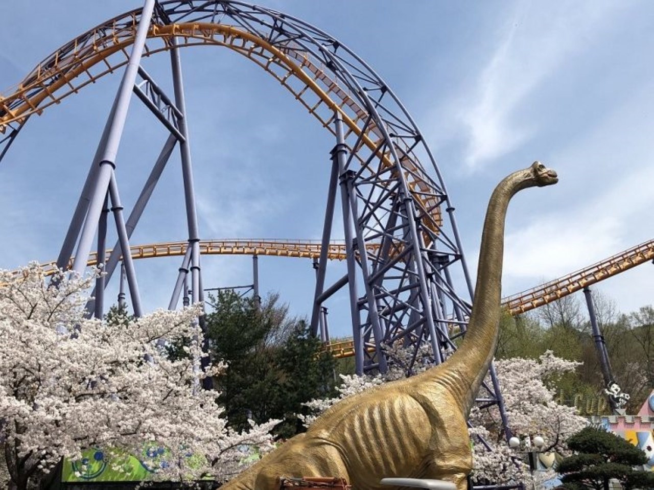 Vé công viên giải trí Seoul Land Theme Park