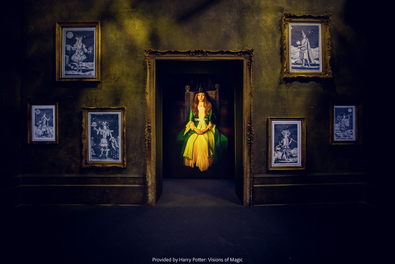 Harry Potter: Visions of Magic