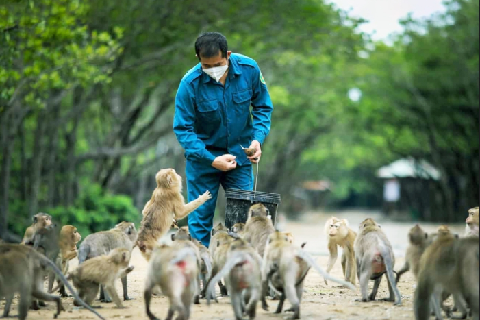 Tour Cần Giờ - Đảo Khỉ  1 ngày