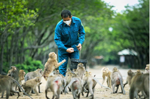 Tour Cần Giờ - Đảo Khỉ  1 ngày