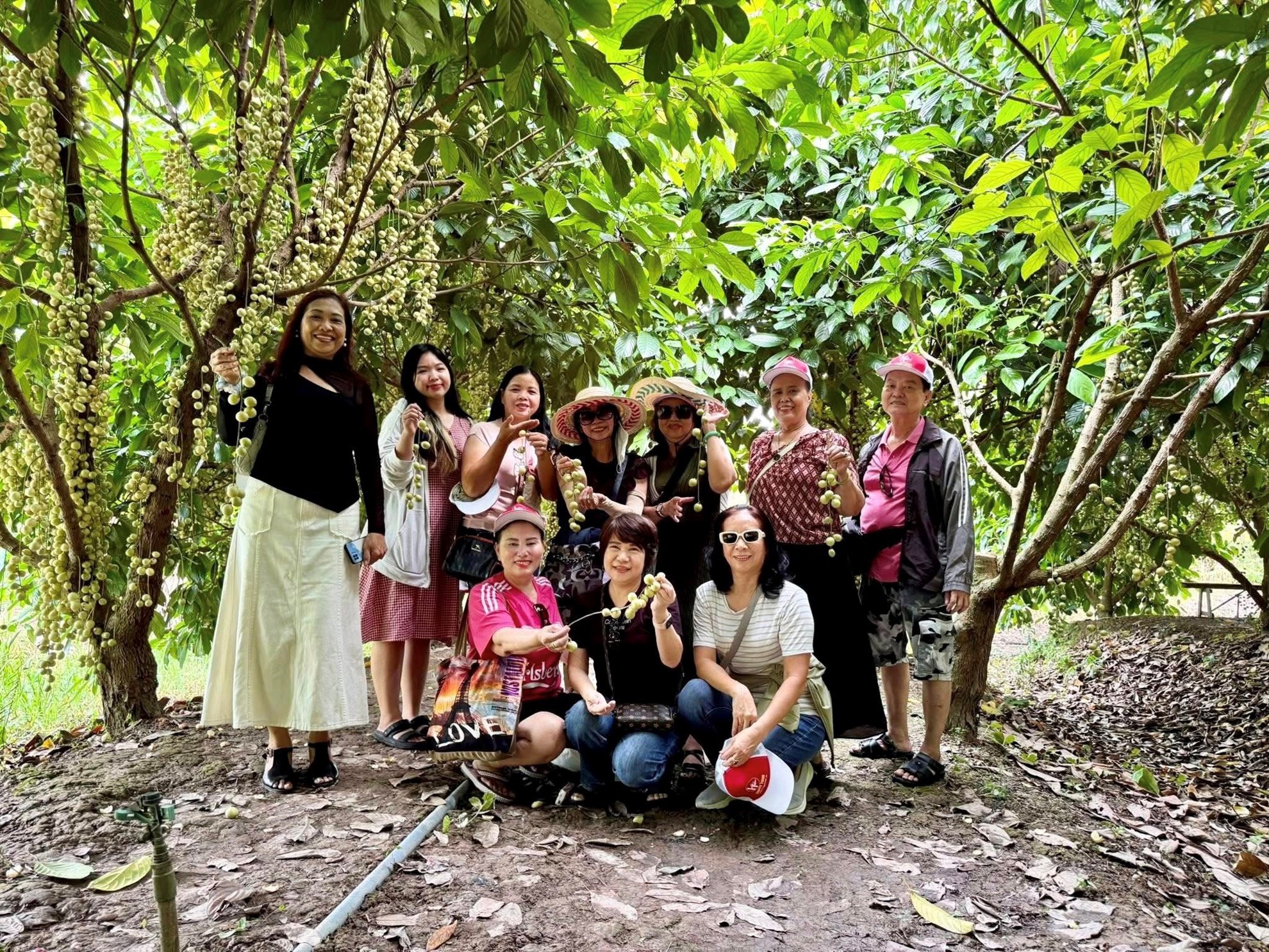 Tour Đồng Tháp Vườn Dâu - Pink House 1 ngày