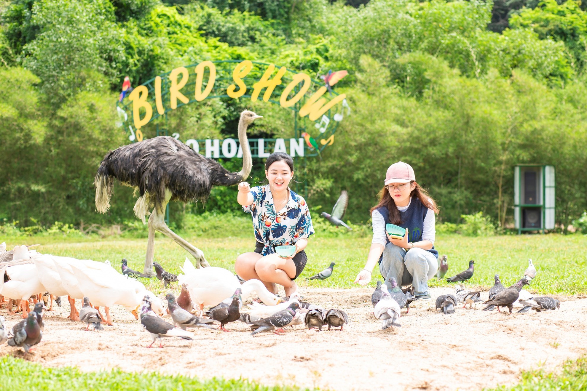 Vé Đảo Khỉ - Đảo Hoa Lan - Tour vịnh Nha Phu