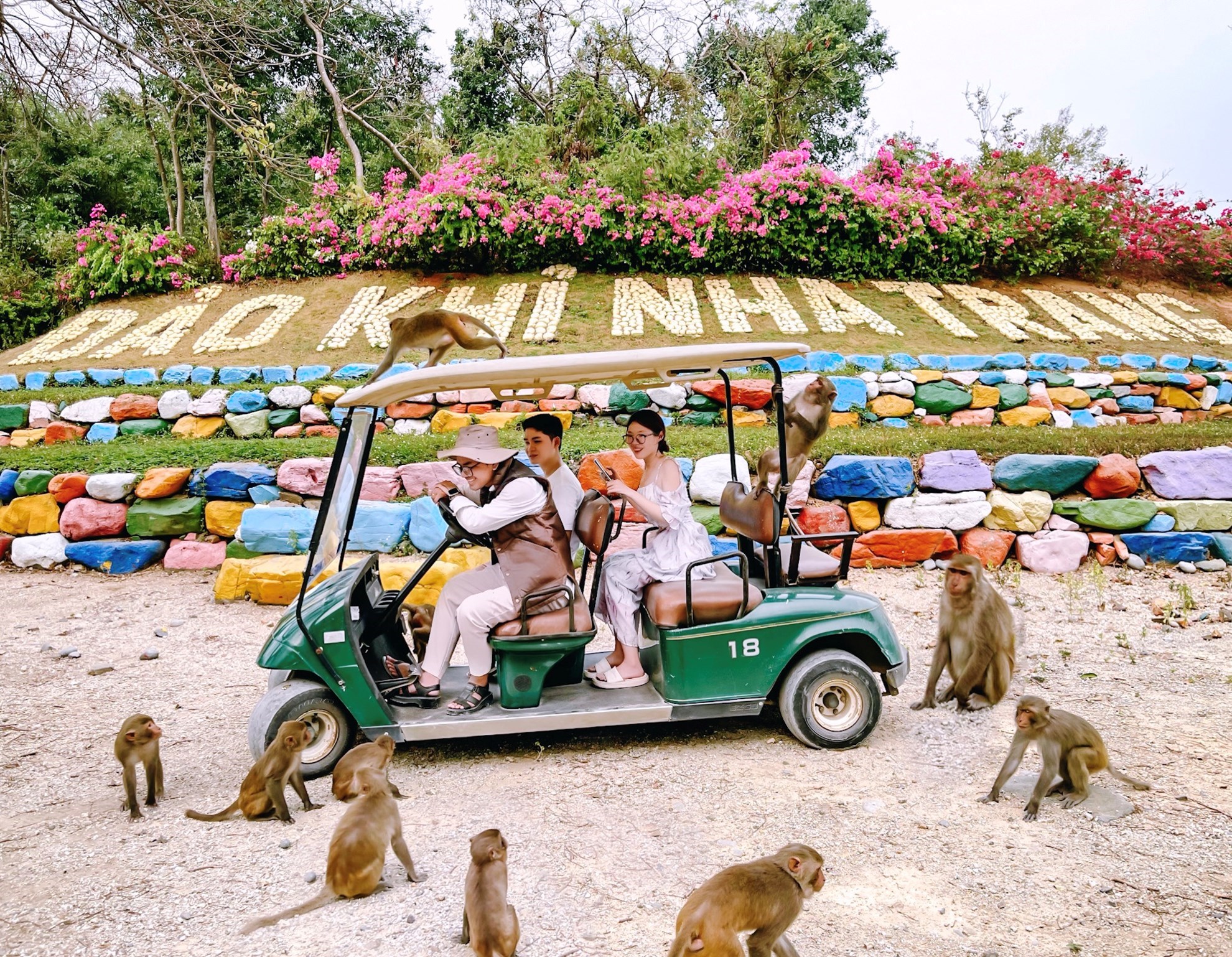 Vé Đảo Khỉ - Đảo Hoa Lan - Tour vịnh Nha Phu