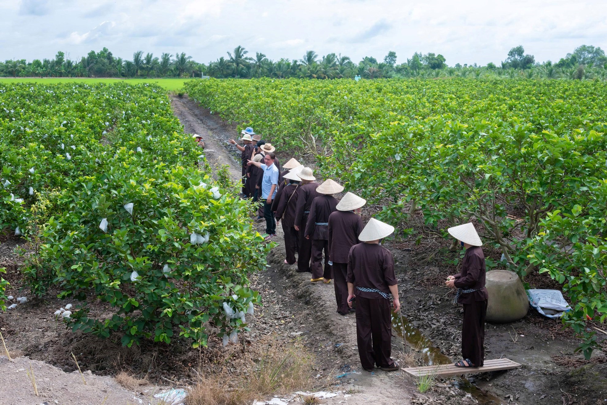 Tour 1 ngày Bến Lức (local life)