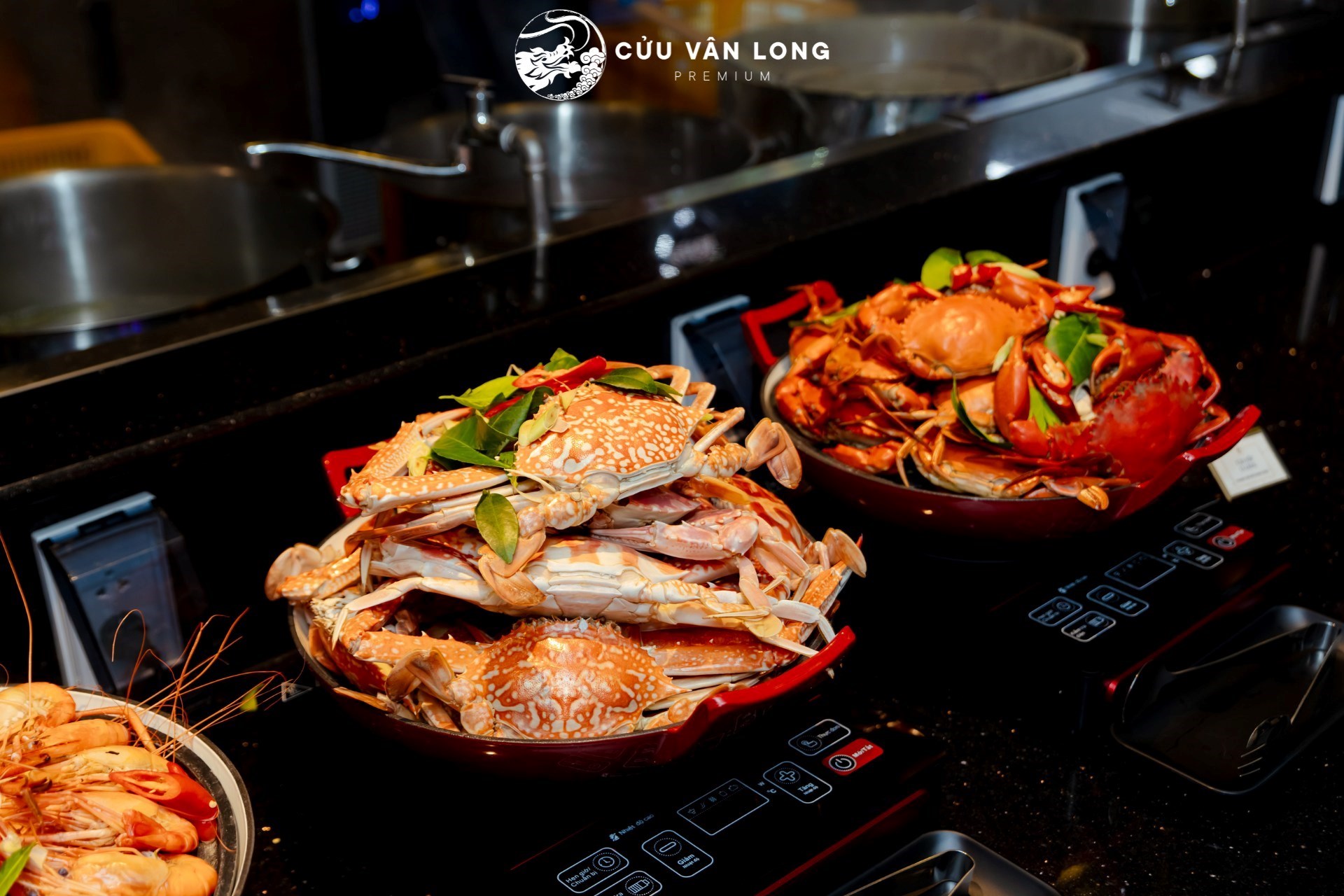 Cửu Vân Long Premium