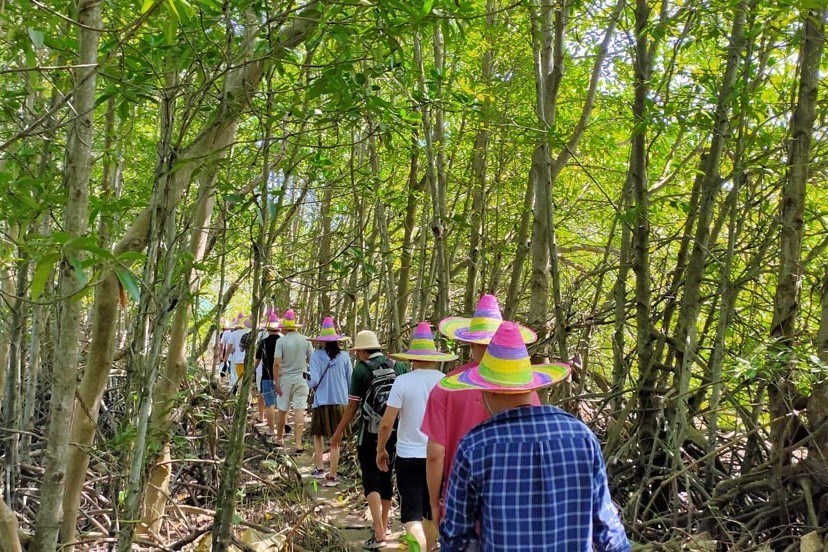 Tour Cồn Chim Chèo SUP 1/2 Ngày