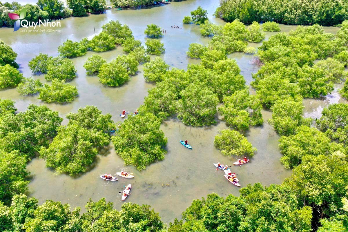 Tour Cồn Chim Chèo SUP 1/2 Ngày