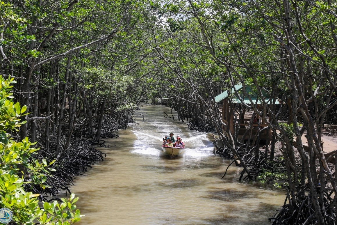 Tham quan Cần Giờ Vàm Sát 1 ngày - Tour Riêng