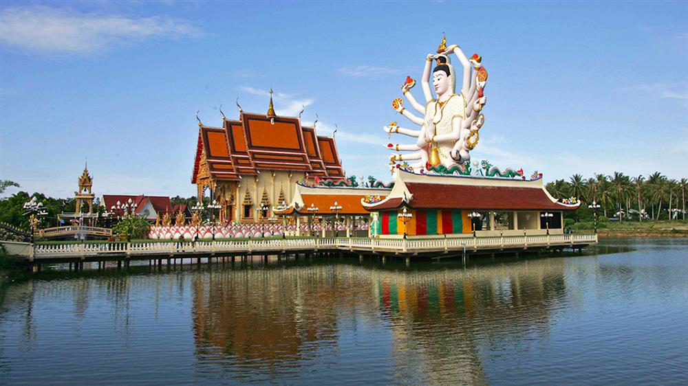 05. Hồ cá lớn