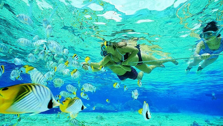 Snorkeling-and-Diving-Adventures-in-Pulau Payar