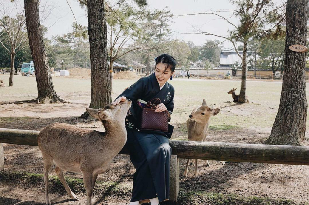 Tham quan công viên Nara với trang phục Kimono 