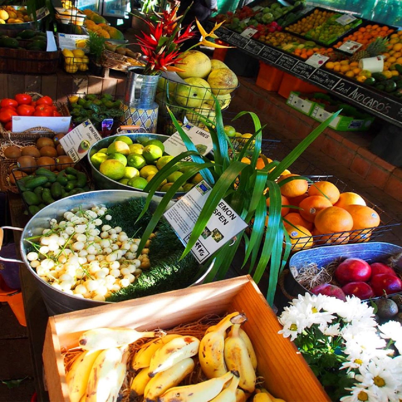 Byron Bay and Tropical Fruit World Tour