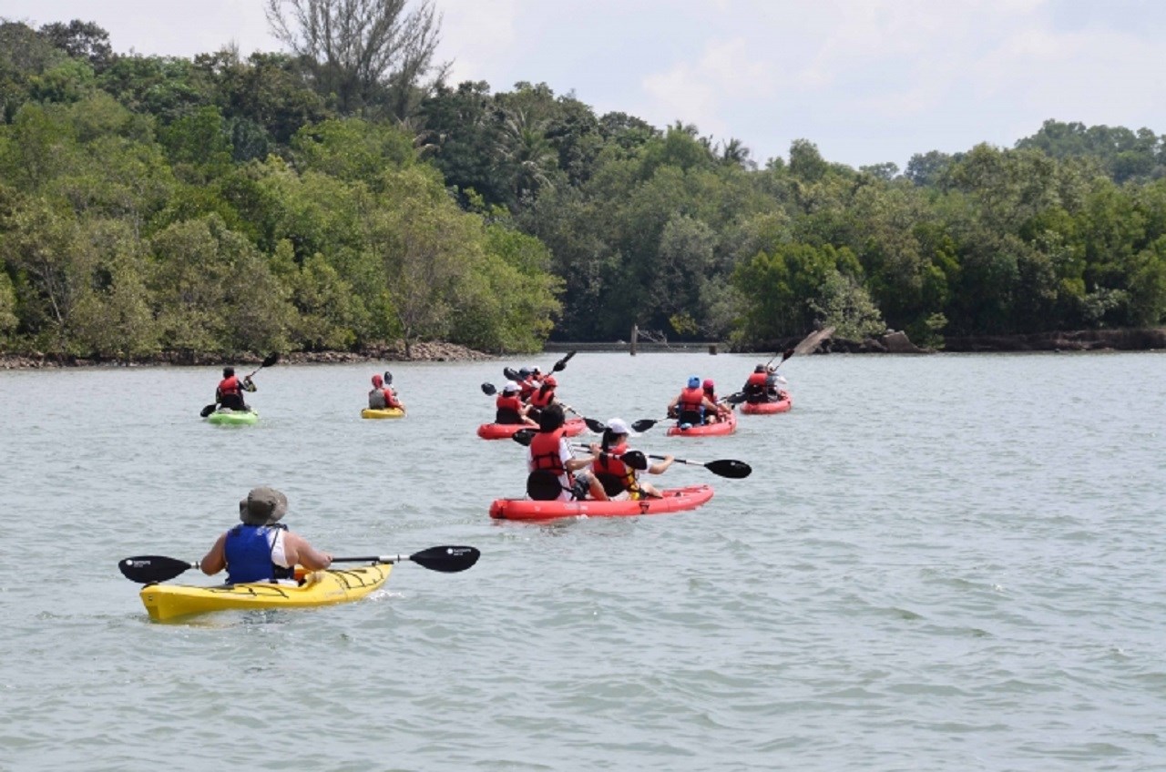 Chèo kayak ở đảo Ketam