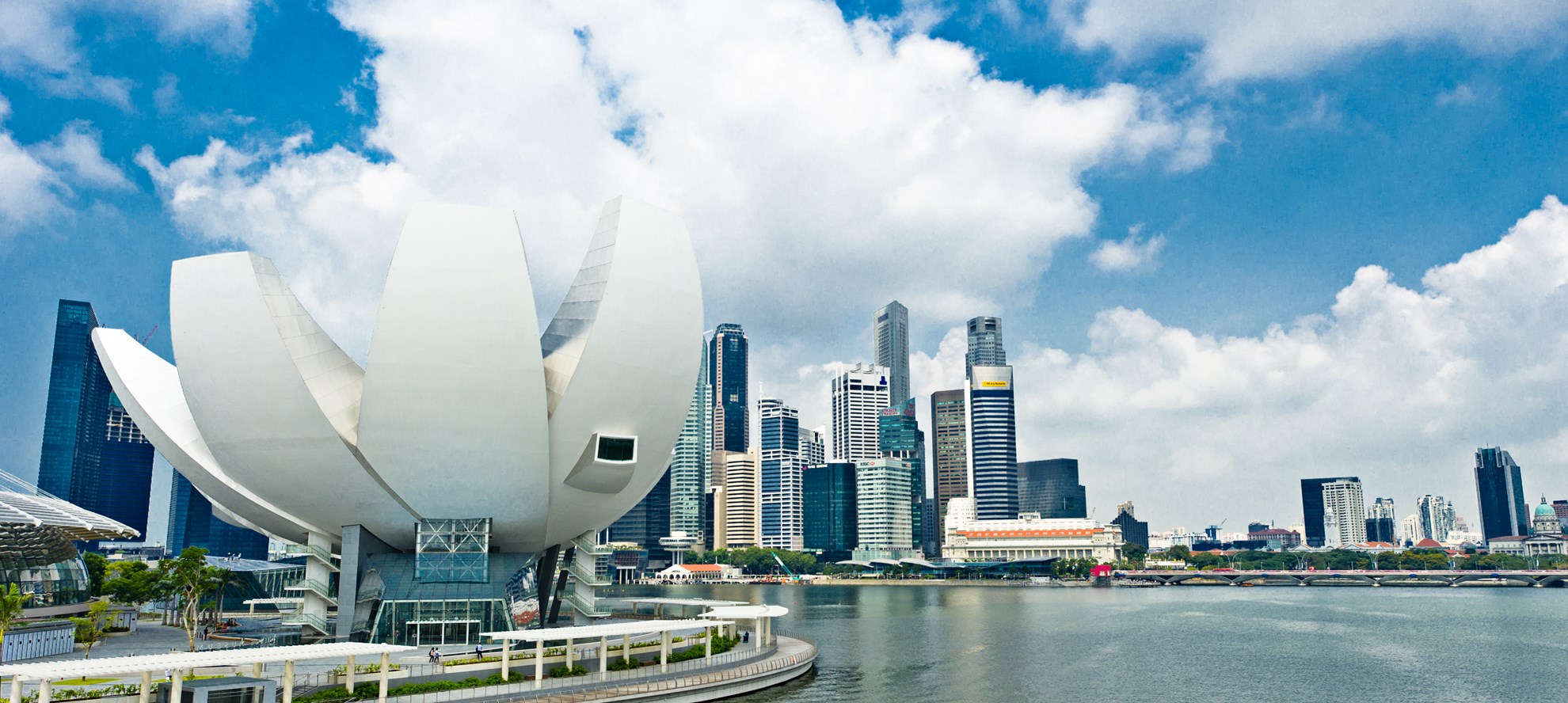COMBO: Gardens by the Bay + Bảo tàng ArtScience Museum™