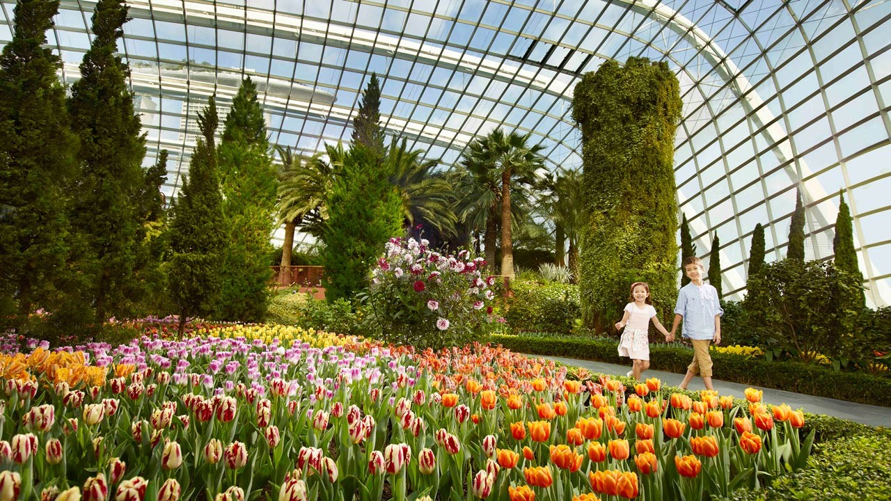 COMBO: Gardens by the Bay + Bảo tàng ArtScience Museum™