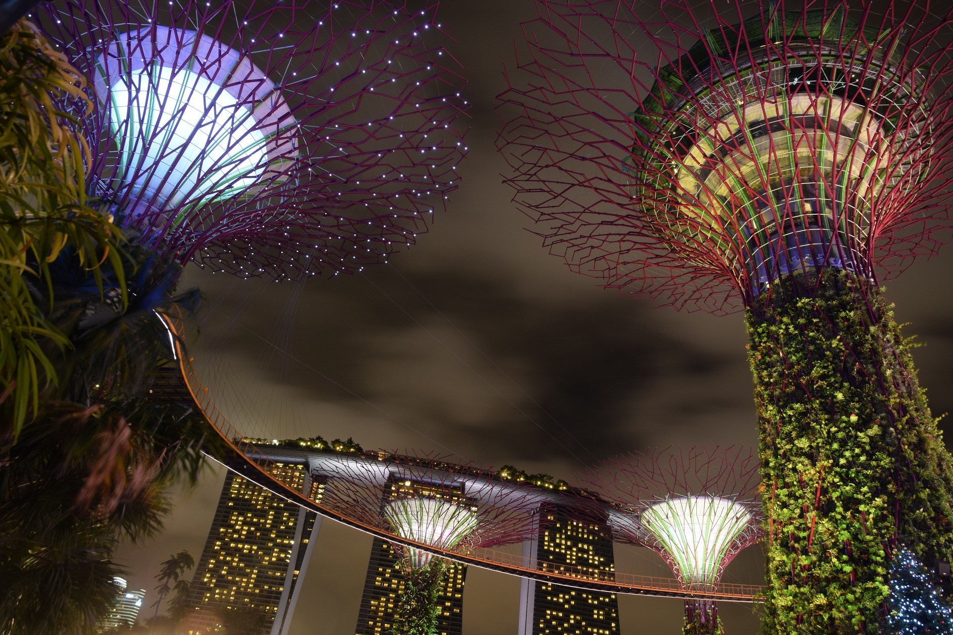 COMBO: Gardens by the Bay + Bảo tàng ArtScience Museum™