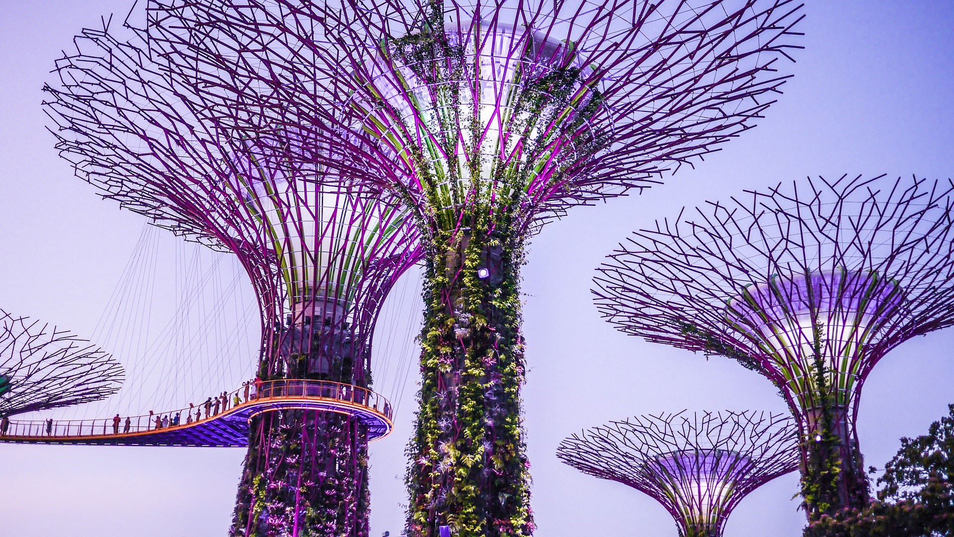 COMBO: Gardens by the Bay + Singapore Tourist Pass PLUS