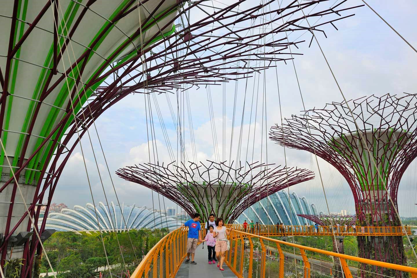 COMBO: Gardens by the Bay + Singapore Tourist Pass PLUS