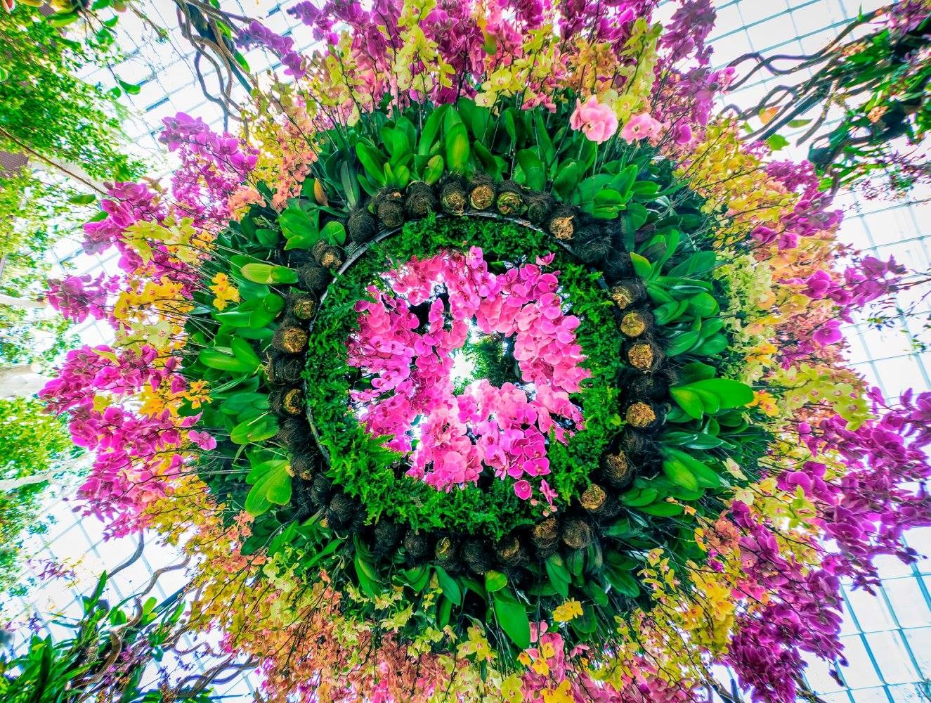 COMBO: Gardens by the Bay + Singapore Tourist Pass PLUS