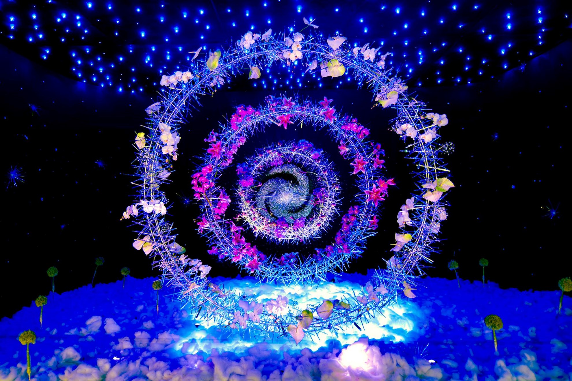 COMBO: Gardens by the Bay + Singapore Tourist Pass PLUS