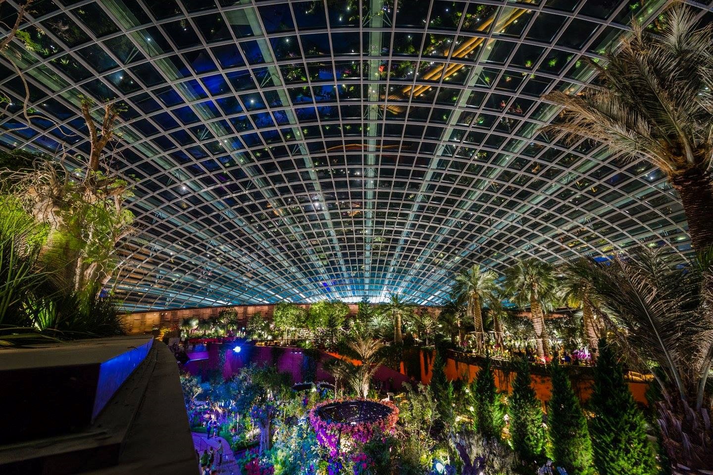 COMBO: Gardens by the Bay + Singapore Tourist Pass PLUS