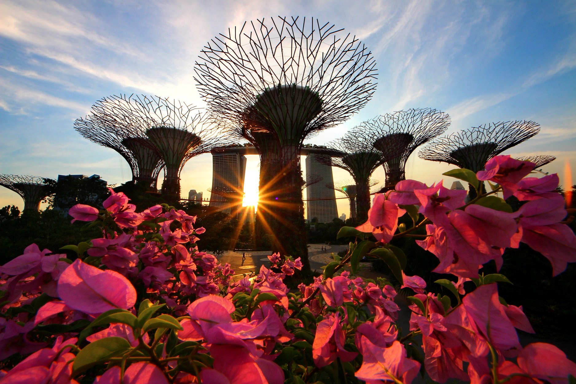 COMBO: Gardens by the Bay + Singapore Tourist Pass PLUS