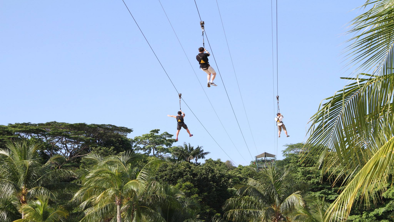 COMBO: MegaZip, MegaJump và MegaClimb + Luge và Skyride